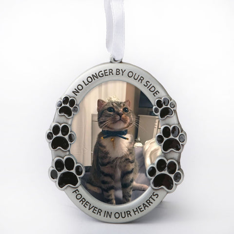 Pet Memorial Ornament - No longer by Our Side Forever in our Hearts