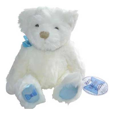 Ring Bearer Teddy Bear